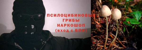 бошки Алексин