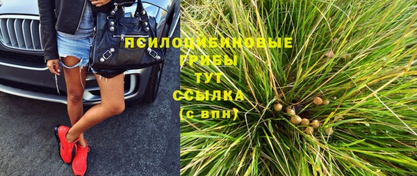 бошки Алексин