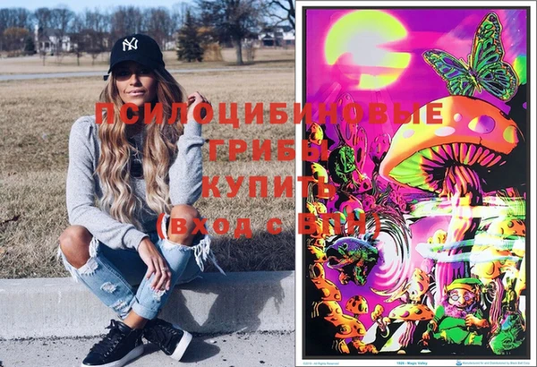бошки Алексин