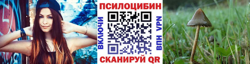 Галлюциногенные грибы Psilocybine cubensis Хвалынск